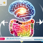 "SECRETS" ABOUT THE DIGESTIVE SYSTEM: THE IMMUNE CENTER AND THE "SECOND BRAIN" OF THE BODY