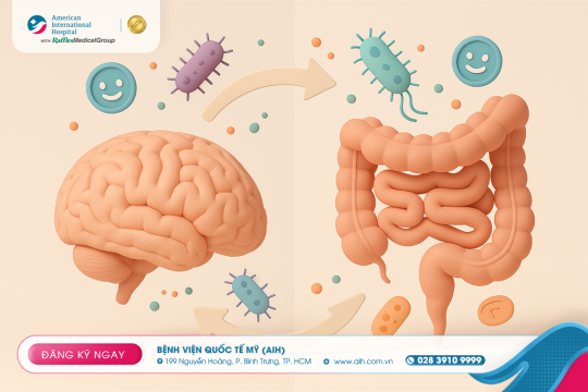 MỐI LIÊN KẾT RUỘT VÀ NÃO: CHÌA KHÓA DUY TRÌ SỨC KHỎE VÀ CÂN BẰNG CẢM XÚC