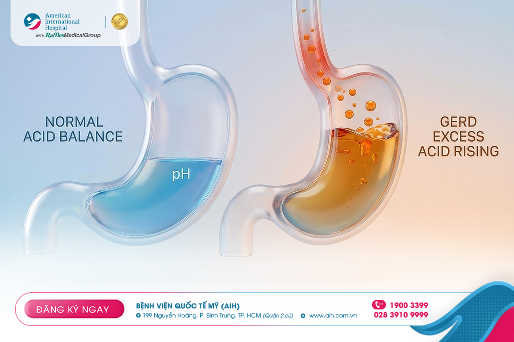 adobestock-1979194561.png