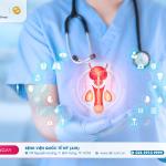 PROSTATITIS: CAUSES, SYMPTOMS AND WHAT YOU NEED TO KNOW