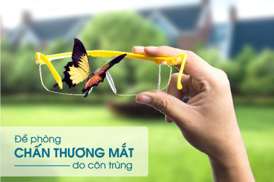 ĐỀ PHÒNG CHẤN THƯƠNG MẮT DO CÔN TRÙNG!