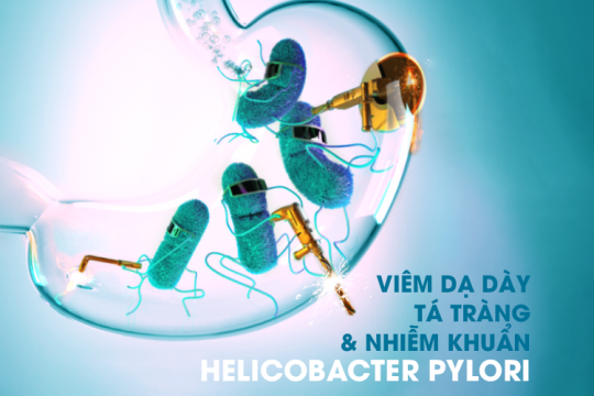 VIÊM DẠ DÀY – TÁ TRÀNG VÀ NHIỄM KHUẨN HELICOBACTER PYLORI