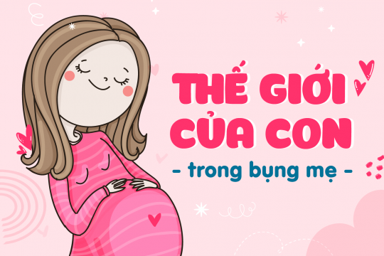 THẾ GIỚI CỦA CON TRONG BỤNG MẸ