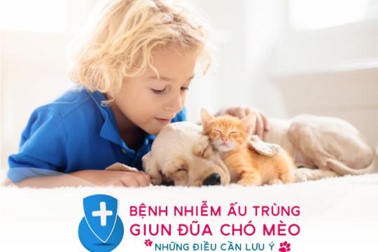 BỆNH NHIỄM ẤU TRÙNG GIUN ĐŨA CHÓ MÈO & NHỮNG ĐIỀU CẦN LƯU Ý
