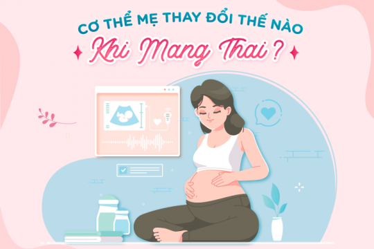 CƠ THỂ MẸ THAY ĐỔI THẾ NÀO KHI MANG THAI?