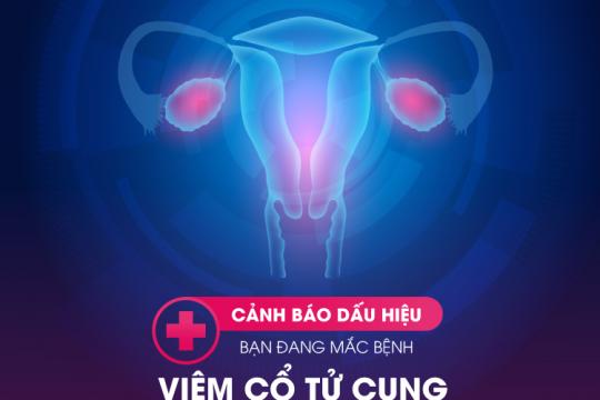 CẢNH BÁO DẤU HIỆU BẠN ĐANG MẮC BỆNH VIÊM CỔ TỬ CUNG