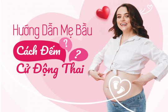 HƯỚNG DẪN MẸ BẦU ĐẾM CỬ ĐỘNG THAI