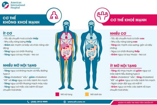 MỠ NỘI TẠNG: MỐI NGUY ẢNH HƯỞNG NGHIÊM TRỌNG ĐẾN SỨC KHỎE CỦA BẠN