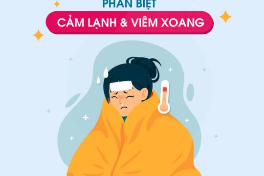 PHÂN BIỆT CẢM LẠNH VÀ VIÊM XOANG