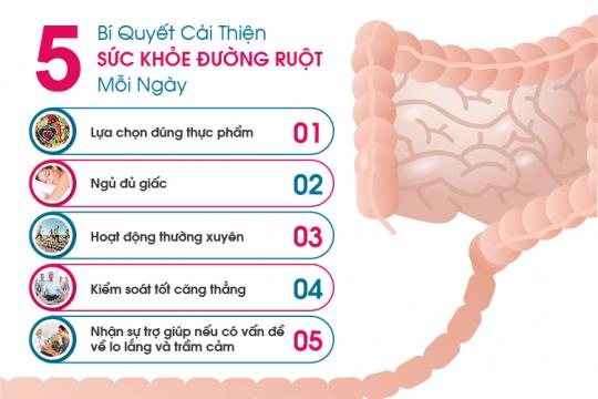 5 BÍ QUYẾT CẢI THIỆN SỨC KHOẺ ĐƯỜNG RUỘT MỖI NGÀY