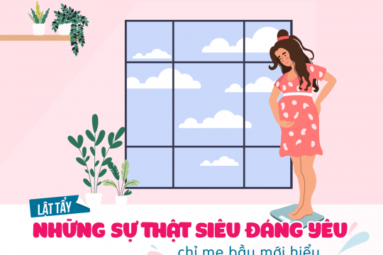 LẬT TẨY NHỮNG SỰ THẬT SIÊU ĐÁNG YÊU CHỈ MẸ BẦU MỚI HIỂU!