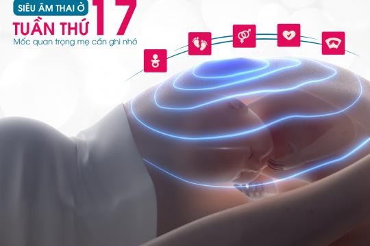 17-WEEK PREGANT ULTRASOUND
